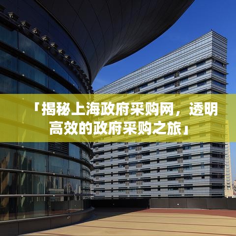 「揭秘上海政府采購(gòu)網(wǎng)，透明高效的政府采購(gòu)之旅」