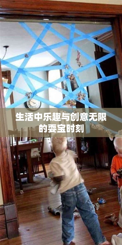 生活中樂(lè)趣與創(chuàng)意無(wú)限的耍寶時(shí)刻
