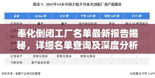 奉化倒閉工廠名單最新報告揭秘，詳細名單查詢及深度分析