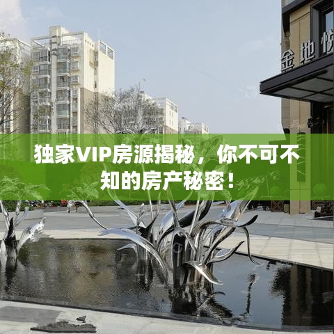 獨家VIP房源揭秘，你不可不知的房產(chǎn)秘密！