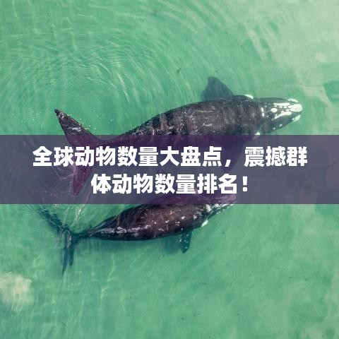 全球動物數(shù)量大盤點，震撼群體動物數(shù)量排名！