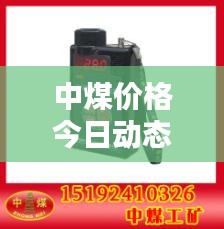 中煤價格今日動態(tài)，最新消息全面解析