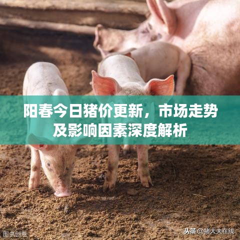 陽春今日豬價更新，市場走勢及影響因素深度解析