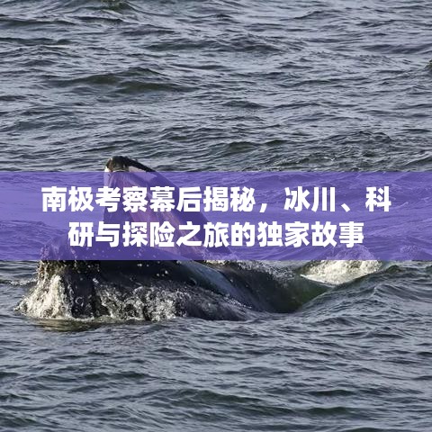 2025年3月6日 第3頁