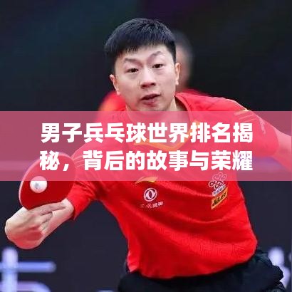 男子兵乓球世界排名揭秘，背后的故事與榮耀之旅