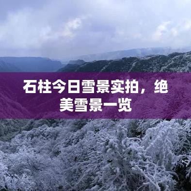 石柱今日雪景實拍，絕美雪景一覽