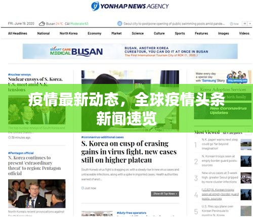 疫情最新動態(tài)，全球疫情頭條新聞速覽