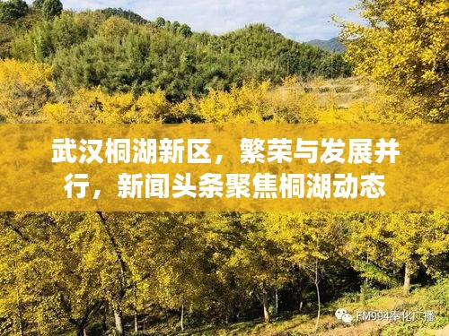 武漢桐湖新區(qū)，繁榮與發(fā)展并行，新聞?lì)^條聚焦桐湖動(dòng)態(tài)