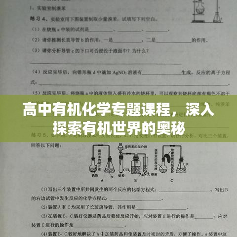 高中有機(jī)化學(xué)專題課程，深入探索有機(jī)世界的奧秘