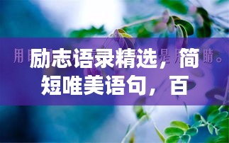 2025年3月9日 第2頁(yè)