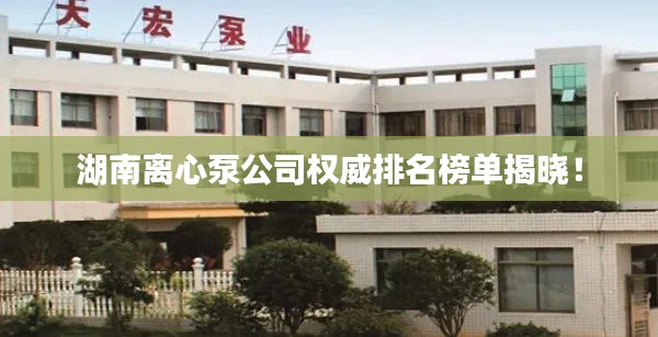 湖南離心泵公司權威排名榜單揭曉！