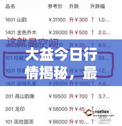 大益今日行情揭秘，最新消息搶先看