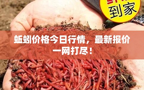 蚯蚓價(jià)格今日行情，最新報(bào)價(jià)一網(wǎng)打盡！