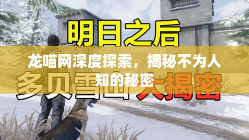 龍喵網(wǎng)深度探索，揭秘不為人知的秘密