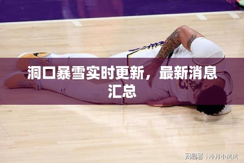 洞口暴雪實(shí)時(shí)更新，最新消息匯總