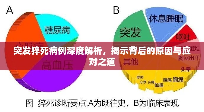 突發(fā)猝死病例深度解析，揭示背后的原因與應(yīng)對(duì)之道