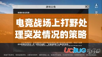 電競戰(zhàn)場上打野處理突發(fā)情況的策略，關(guān)鍵角色與應(yīng)對(duì)策略揭秘