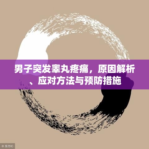 男子突發(fā)睪丸疼痛，原因解析、應(yīng)對(duì)方法與預(yù)防措施