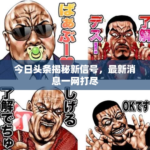 今日頭條揭秘新信號(hào)，最新消息一網(wǎng)打盡