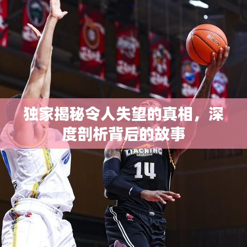 獨家揭秘令人失望的真相，深度剖析背后的故事