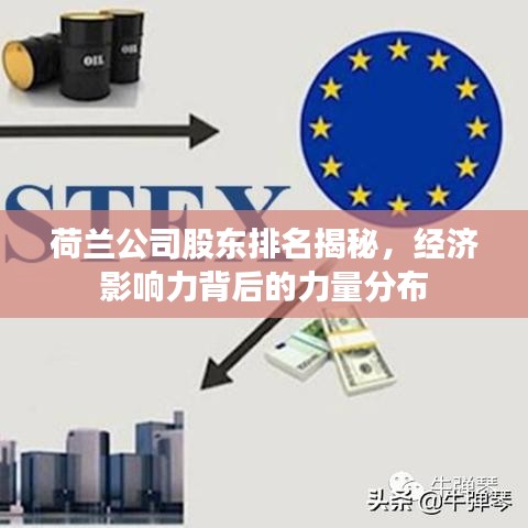 荷蘭公司股東排名揭秘，經(jīng)濟(jì)影響力背后的力量分布