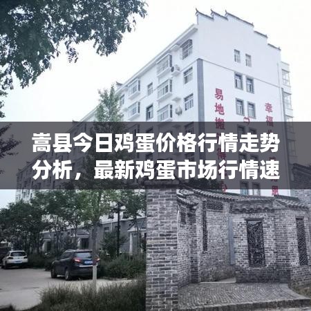 嵩縣今日雞蛋價(jià)格行情走勢(shì)分析，最新雞蛋市場(chǎng)行情速遞