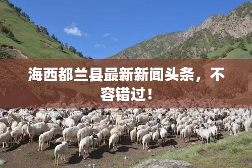 海西都蘭縣最新新聞頭條，不容錯過！