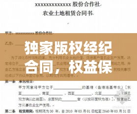 獨家版權(quán)經(jīng)紀合同，權(quán)益保障與責任明確全攻略