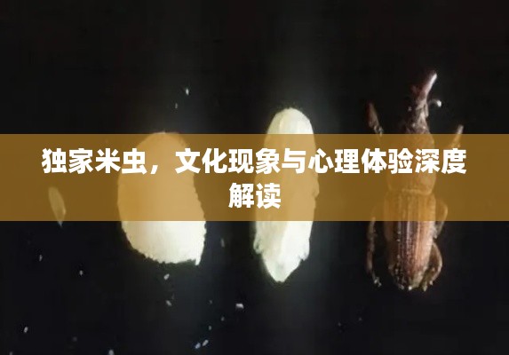 獨(dú)家米蟲，文化現(xiàn)象與心理體驗(yàn)深度解讀