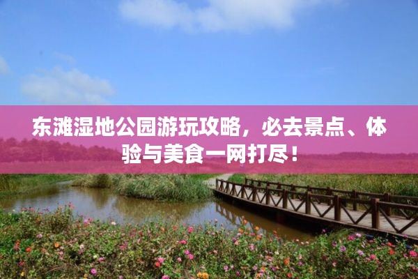 東灘濕地公園游玩攻略，必去景點、體驗與美食一網(wǎng)打盡！