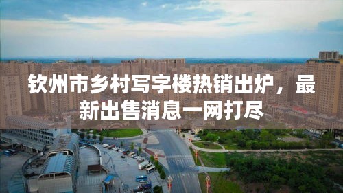 欽州市鄉(xiāng)村寫(xiě)字樓熱銷出爐，最新出售消息一網(wǎng)打盡