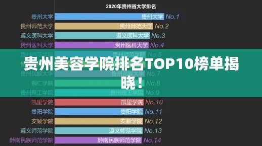 貴州美容學(xué)院排名TOP10榜單揭曉！