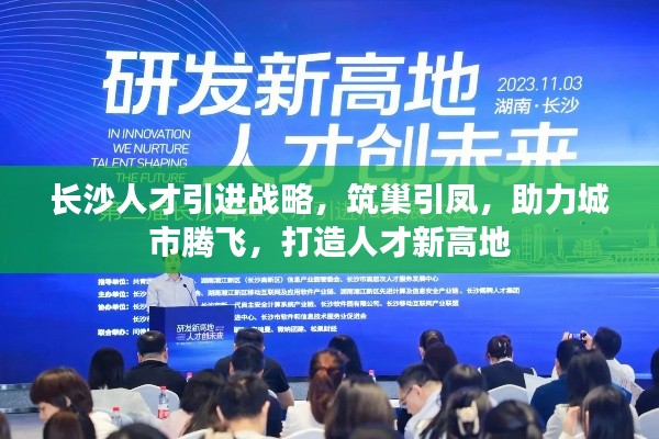 長沙人才引進戰(zhàn)略，筑巢引鳳，助力城市騰飛，打造人才新高地