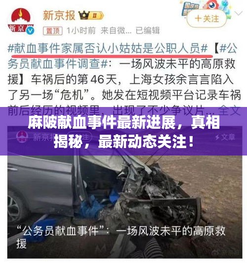 麻陂獻(xiàn)血事件最新進(jìn)展，真相揭秘，最新動態(tài)關(guān)注！
