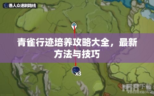 青雀行跡培養(yǎng)攻略大全，最新方法與技巧