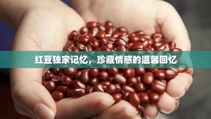 紅豆獨(dú)家記憶，珍藏情感的溫馨回憶
