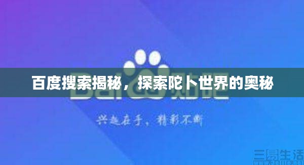 百度搜索揭秘，探索陀卜世界的奧秘