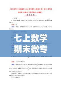 七上數(shù)學(xué)期末微專題答案深度解析