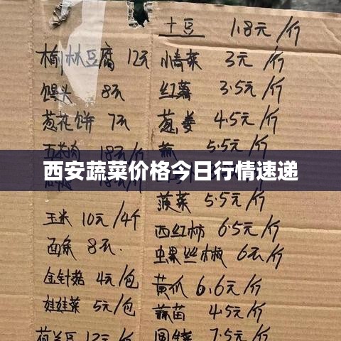 西安蔬菜價格今日行情速遞