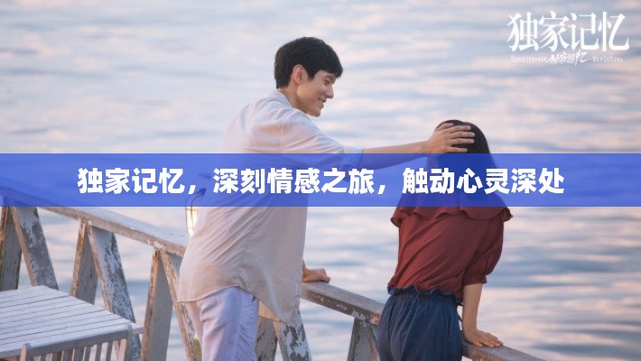 獨(dú)家記憶，深刻情感之旅，觸動(dòng)心靈深處