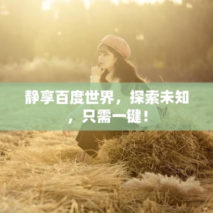 靜享百度世界，探索未知，只需一鍵！