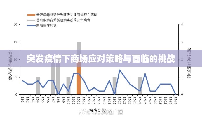 突發(fā)疫情下商場應對策略與面臨的挑戰(zhàn)