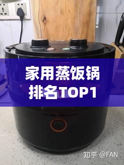 家用蒸飯鍋排名TOP10，選購指南與深度解析