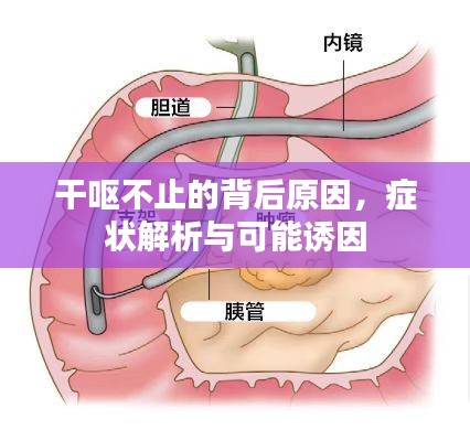 干嘔不止的背后原因，癥狀解析與可能誘因