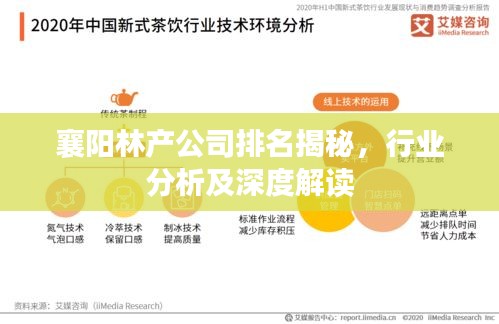 襄陽林產公司排名揭秘，行業(yè)分析及深度解讀