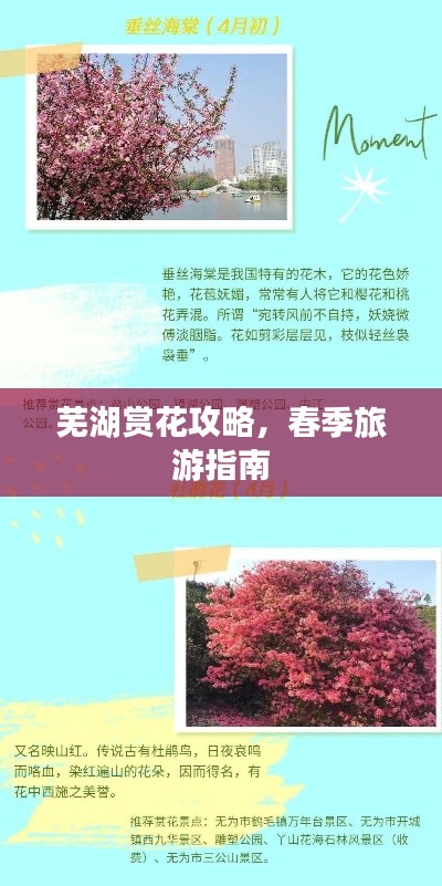 蕪湖賞花攻略，春季旅游指南
