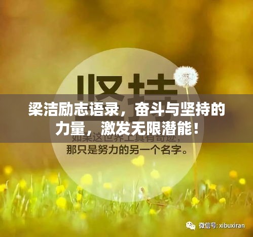 梁潔勵志語錄，奮斗與堅持的力量，激發(fā)無限潛能！