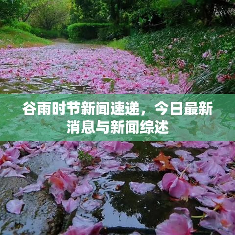 谷雨時節(jié)新聞速遞，今日最新消息與新聞綜述