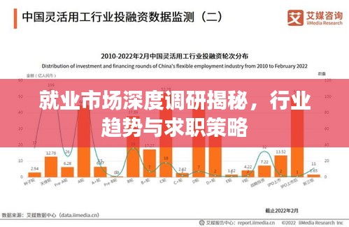 就業(yè)市場深度調(diào)研揭秘，行業(yè)趨勢與求職策略