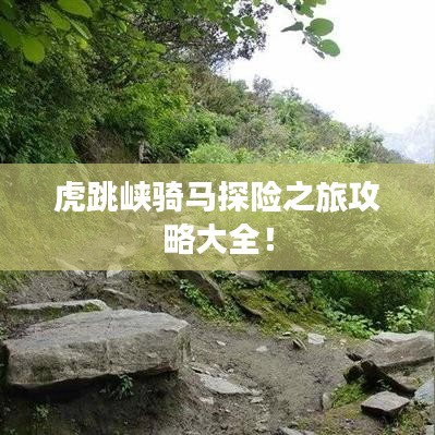 2025年4月11日